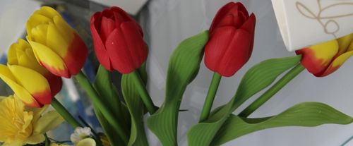 Einzelne Tulpen
