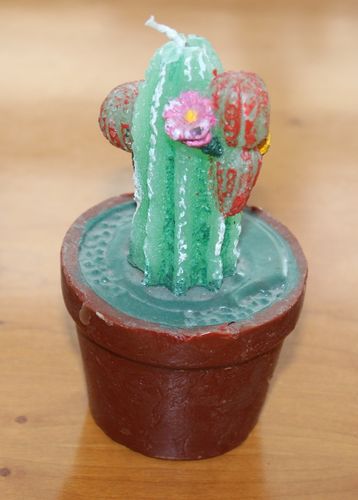 Kaktus-Kerze im Blumentopf