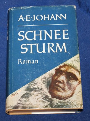 A. E. Johann: Schneesturm (Roman)