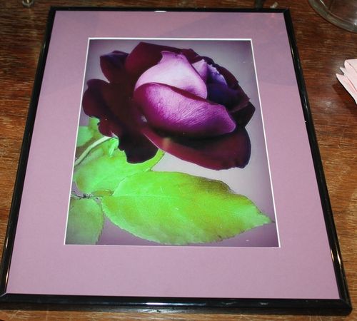 Bild violette Blume, gerahmt / 30 x 40 / 20 x 30